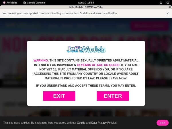Jeff's Models Real Accounts