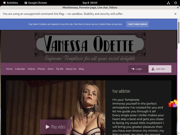 Paypal For Missvanessa.modelcentro.com