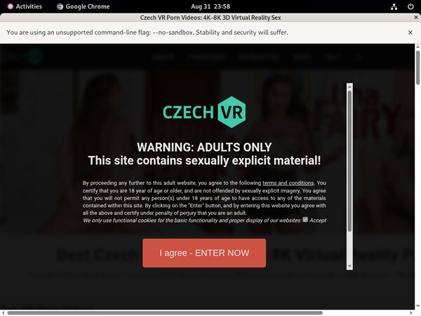 Czech VR Threesome