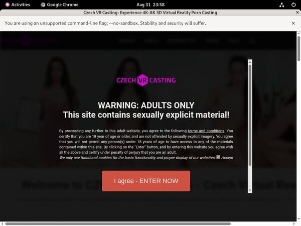 Czechvrcasting GXBill